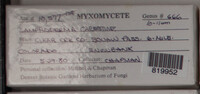 Image Associated With the Occurence